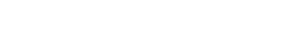 國翼電子